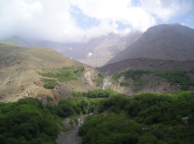 P6020046