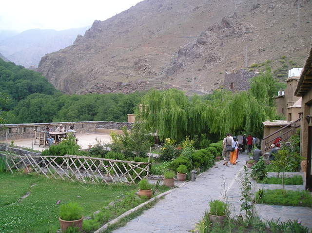 P6020048