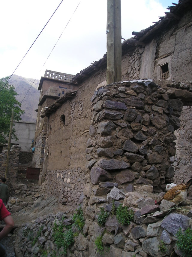 P6020050
