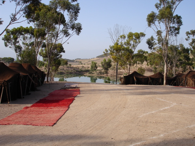 Dsc00053