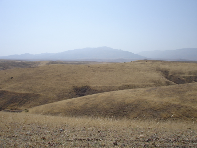 Dsc00062