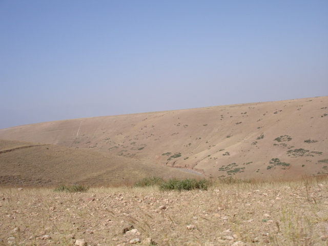 Dsc00065