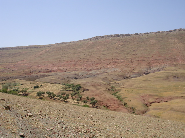 Dsc00066