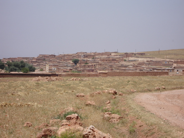 Dsc00068