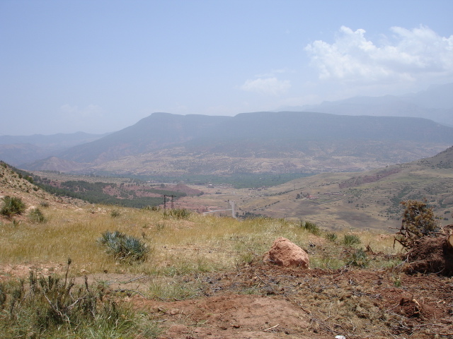 Dsc00071