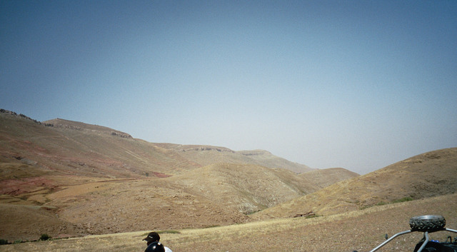 Imm005_6