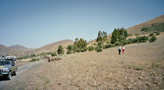 Imm006_7