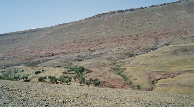 Imm008_9