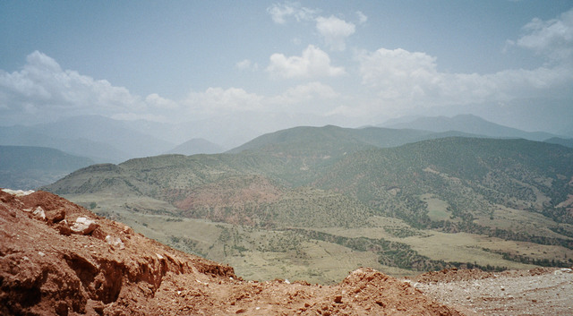 Imm010_11