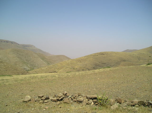 P6020024