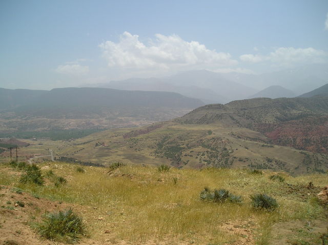 P6020026