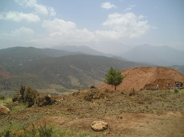 P6020027