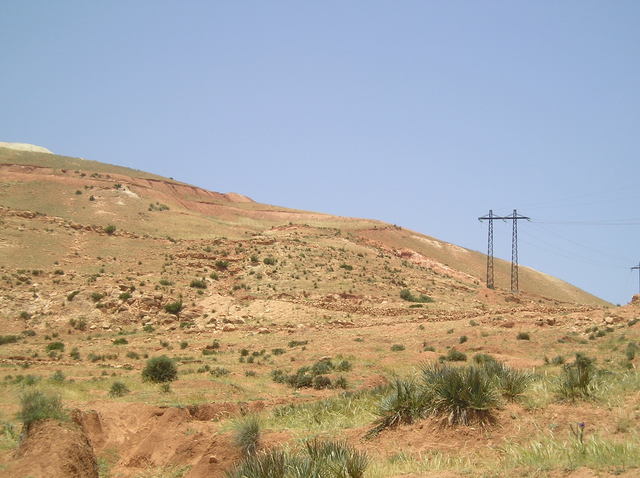 P6020028