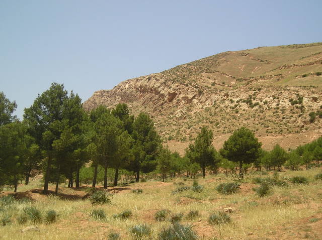 P6020029