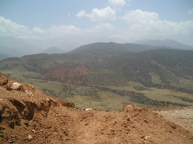 P6020030